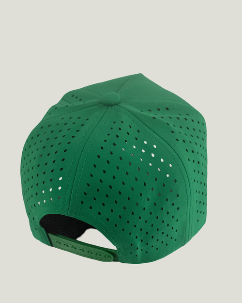 Birds Script Performance Snapback
